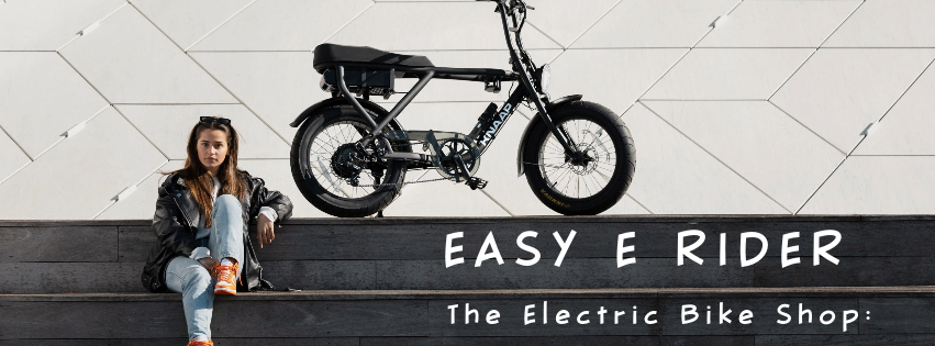 Easy bike shop online